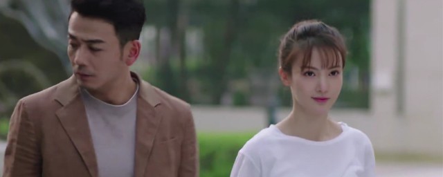 金晨杨烁主演的电视剧简介(杨烁金晨演的电视剧有哪些)