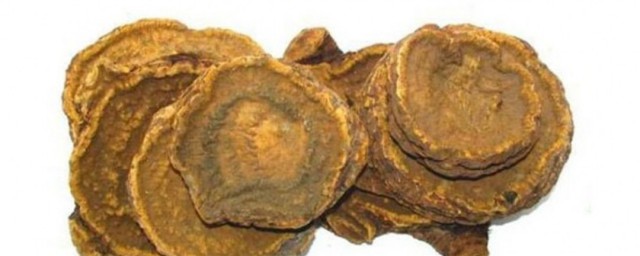 大黄具体是什么(大黄是什么玩意)