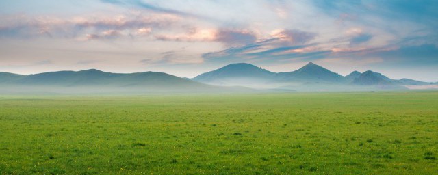 草古代的雅称介绍(水草古代雅称)