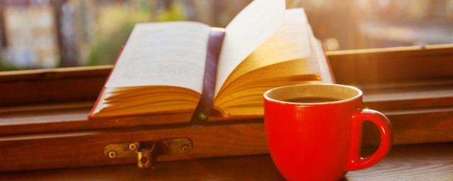 韶华向远浮生未歇是什么意思(浮生未歇的意思)