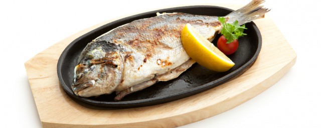 哪种鱼嘴巴尖尖的(嘴巴特别尖的鱼)