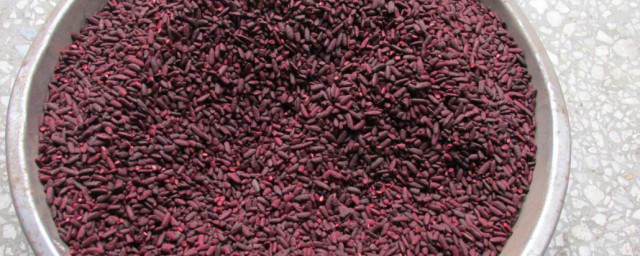 红米介绍(红米介绍图)