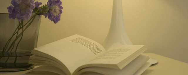 以心为擎万象可抵的意思介绍(以心为擎 万象可抵读音)