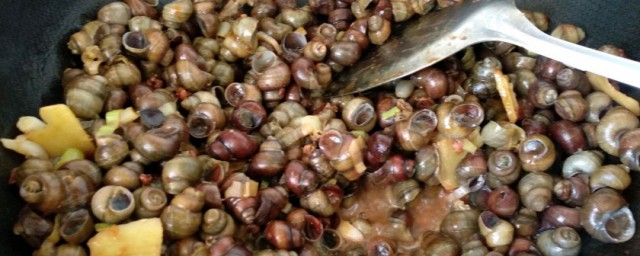 大排档田螺怎样炒好吃(大排档炒田螺的做法爆炒螺丝)