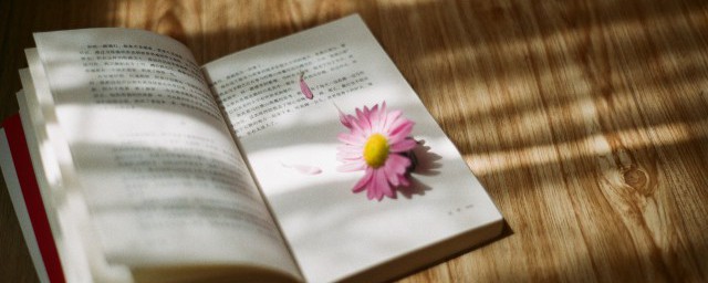 一生所求不过温暖与良人的意思介绍(一生何求不过温柔与良人的意思)