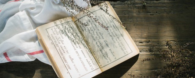 饭圈yyds什么意思(yyh是什么意思)