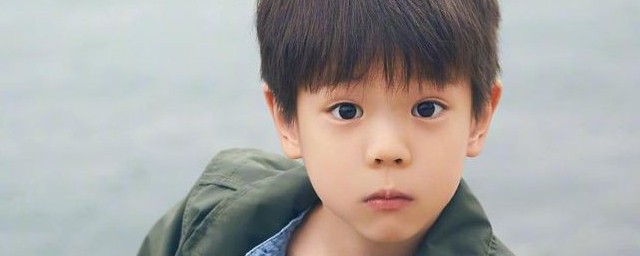 关于嗯哼的简介(嗯哼是什么样的)