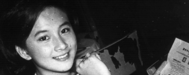 薛家燕资料(薛家燕个人简历)