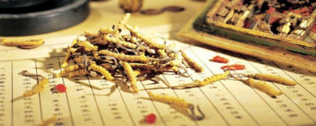 关于调理肾的方法(调养肾的方法)