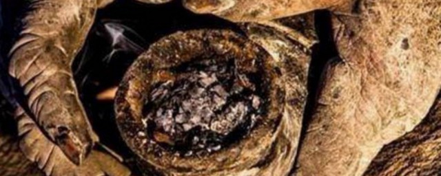 身上的泥垢名称(身体泥垢的主要成分)