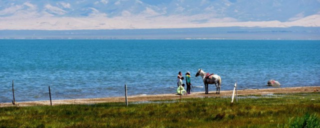 关于青海的简介(青海的介绍和图片)
