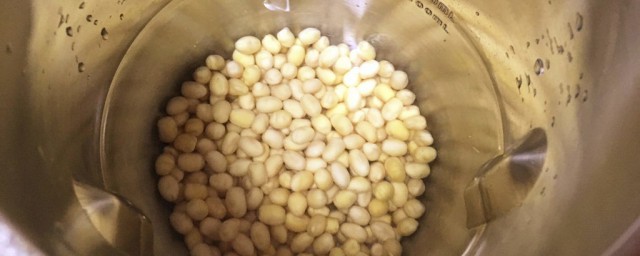 榨豆浆的制作方法(榨豆浆怎么做好吃)