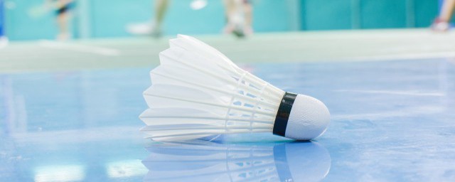 羽毛的寓意和象征是什么呢(各种羽毛的寓意和象征)