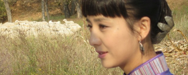 刀客家族的女人剧情简介(刀客家族的女人分集剧情电视猫)