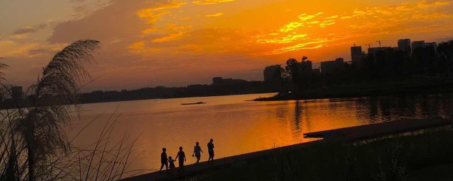 毁灭作者雨兰简介内容(作者雨兰的介绍)