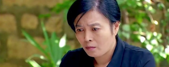 丁嘉丽演员资料(演员丁嘉丽资料个人简历)