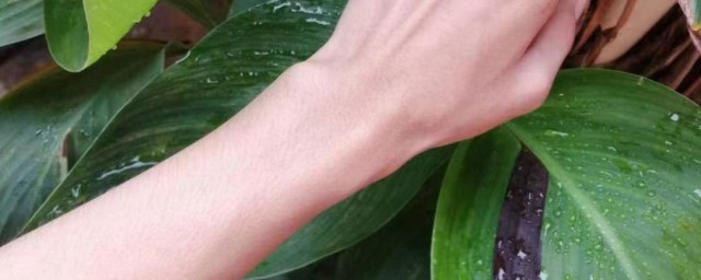 怎样把手臂变白(如何手臂变白)