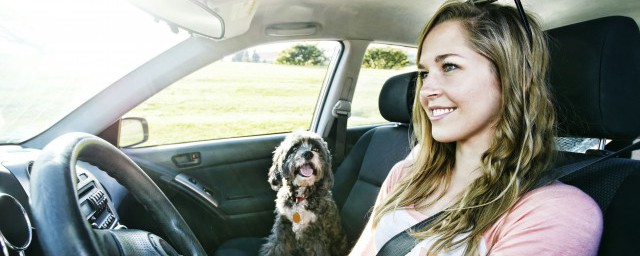 违法未处理具体是什么意思(违法未处理是怎么回事)