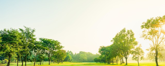 光的作用(光的作用图片)