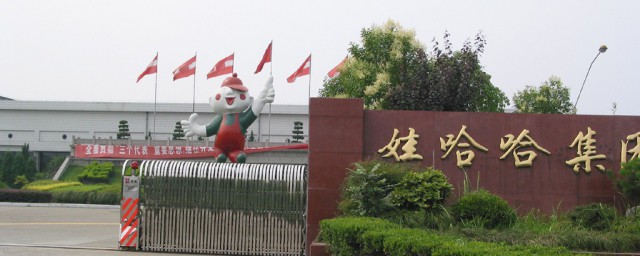 娃哈哈公司的介绍(娃哈哈公司是哪里的)