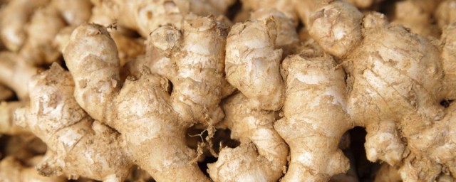 大批生姜的储存方法(大批生姜的保存方法)