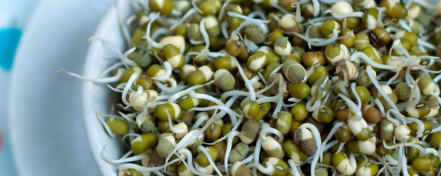 绿豆长了一点点芽能不能吃(绿豆生出一点小芽能吃吗)