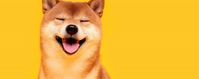 被种草了意思简单介绍(自己被种草什么意思)