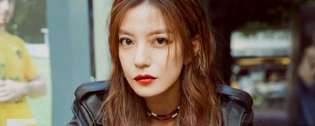 赵薇的介绍(介绍一下赵薇)