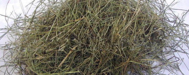 牛更草的作用是什么(牛牛草的作用是什么)