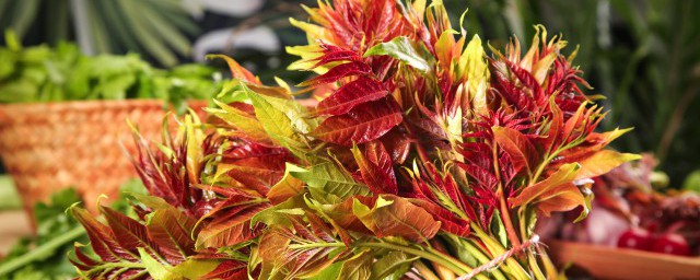 香椿如何储存不坏(香椿怎么保存)