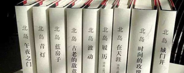 北岛早年经历(北岛的回忆)