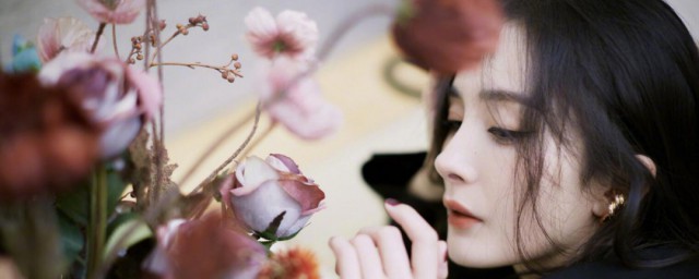 杨幂演员简介(女演员杨幂简历)