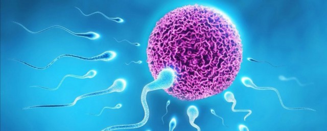 如何提升精子的质量