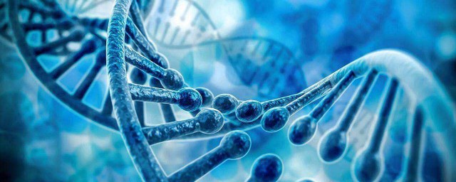 生物价介绍(生物价表格)