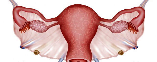 子宫边界清的解释(子宫边界清,轮廓规则)