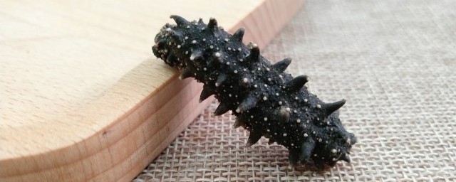 海参的功效有哪些(海参的功效有哪些用语音)