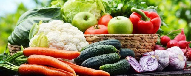 素菜介绍(素菜介绍视频)