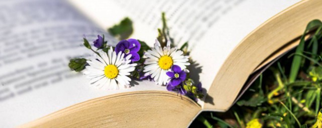 在业解释(业已意思解释)