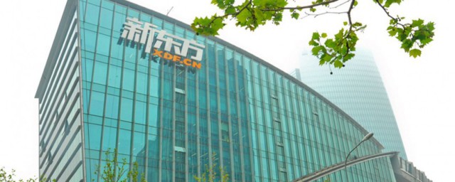 新东方学校简介(新东方学校介绍)