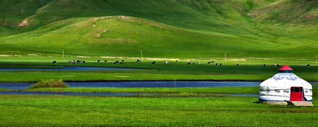 关于草原的资料有哪些(了解草原资料)