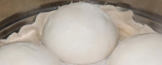 没有酵母发面技巧(不用酵母的面怎么发)