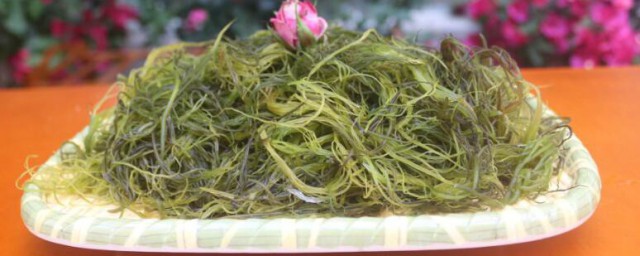 海菜营养价值及功效与作用有哪些(海菜功效有哪些好处)