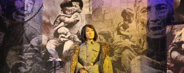 赵一曼英雄事内容简介(赵一曼的英雄事迹)