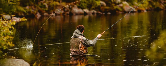 试试这几种钓法钓鳜鱼(怎样钓桂鱼之鳜鱼的四种钓法)