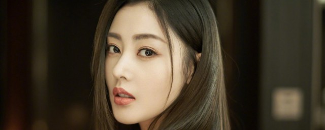 张天爱个人简介(张天爱个人简介资料)