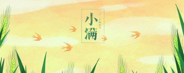 小满养生注意事项(小满的饮食注意事项)