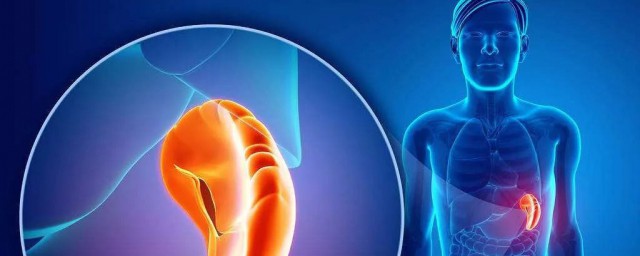 健康怎么定义(健康的定义包括哪些)