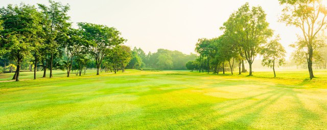 关于光合作用的总公式(光合作用计算式公式)