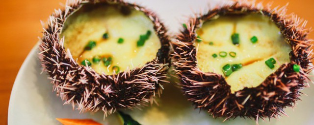 关于海胆的营养价值及功效与作用(海胆的作用和功效)