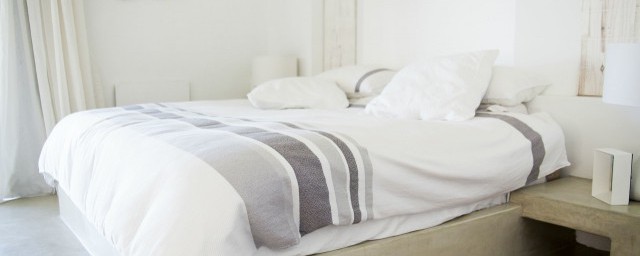 床垫上有小虫子的处理方法(床垫上面有特别小的虫怎么办)